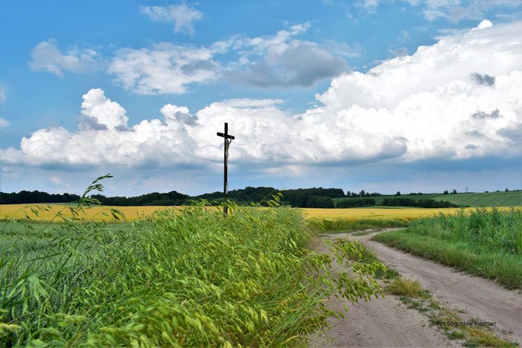 Zdjęcia kościoła #1