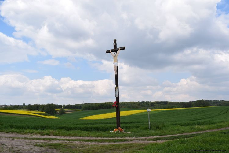 Zdjęcia kościoła #1