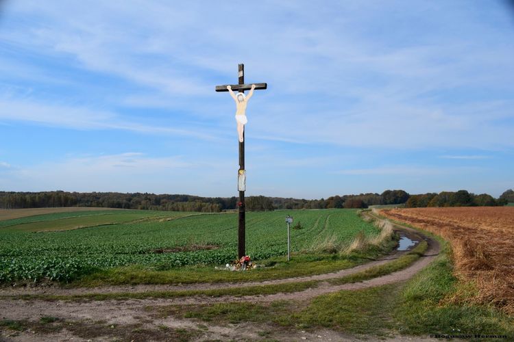 Zdjęcia kościoła #1